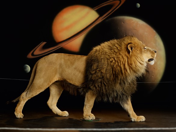 Awol Erizku, Lion (Body) I, 2022, Duratrans on lightbox, 49 ⅜ × 65 ⅝ × 3 ¾ inches (125.4 × 166.7 × 9.5 cm) © Awol Erizku