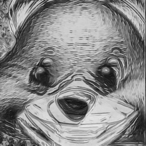 Black-and-white image of one of Harmony Korine's bear artworks