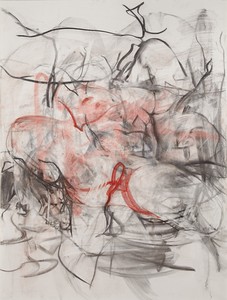 Jenny Saville, Reflective Flesh study (Red), charcoal and pastel on paper, mounted on board, 78 ¾ × 60 inches (200 × 152 cm)