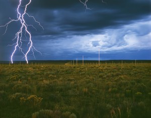 <p>Walter De Maria, <em>The Lightning Field</em>, 1977, long-term installation, western New Mexico. Artwork © Estate of Walter De Maria. Photo: John Cliett, courtesy Dia Art Foundation, New York, and © Estate of Walter De Maria</p>