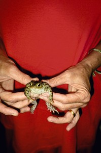 <p>Mary McCartney, <em>Gently Holding Frog</em>, <em>Sussex</em>, 1995 © Mary McCartney</p>