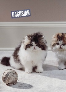 <p>Roe Ethridge’s <em>Two Kittens with Yarn Ball</em> (2017–22) on the cover of <em>Gagosian Quarterly</em>, Spring 2023</p>