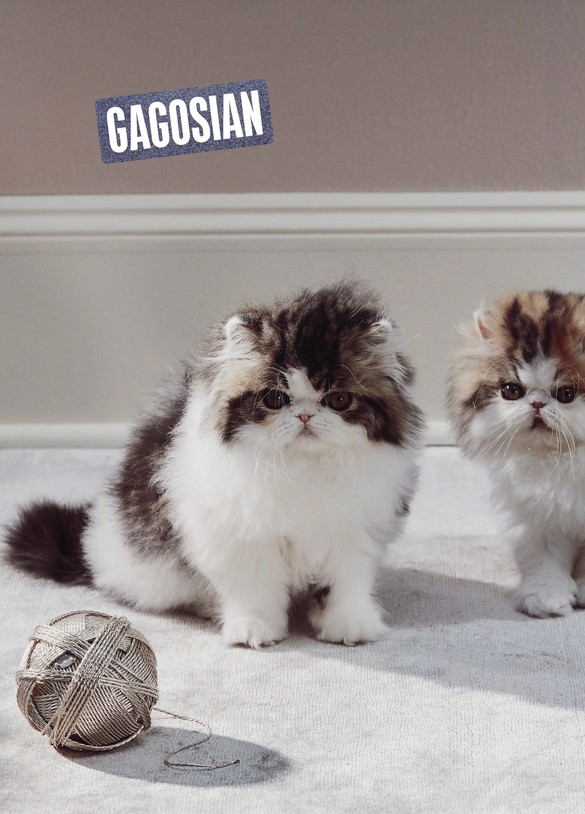 Roe Ethridge’s Two Kittens with Yarn Ball (2017–22) on the cover of Gagosian Quarterly, Spring 2023