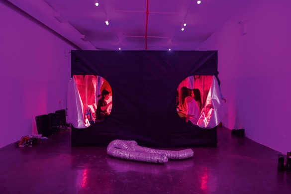 Installation by Session artist Tiffany Jaeyeon Shin as part of Shin’s project Microbial Speculation of Our Gut Feelings, Recess, New York, 2020. Photo: Alexa Smithwrick