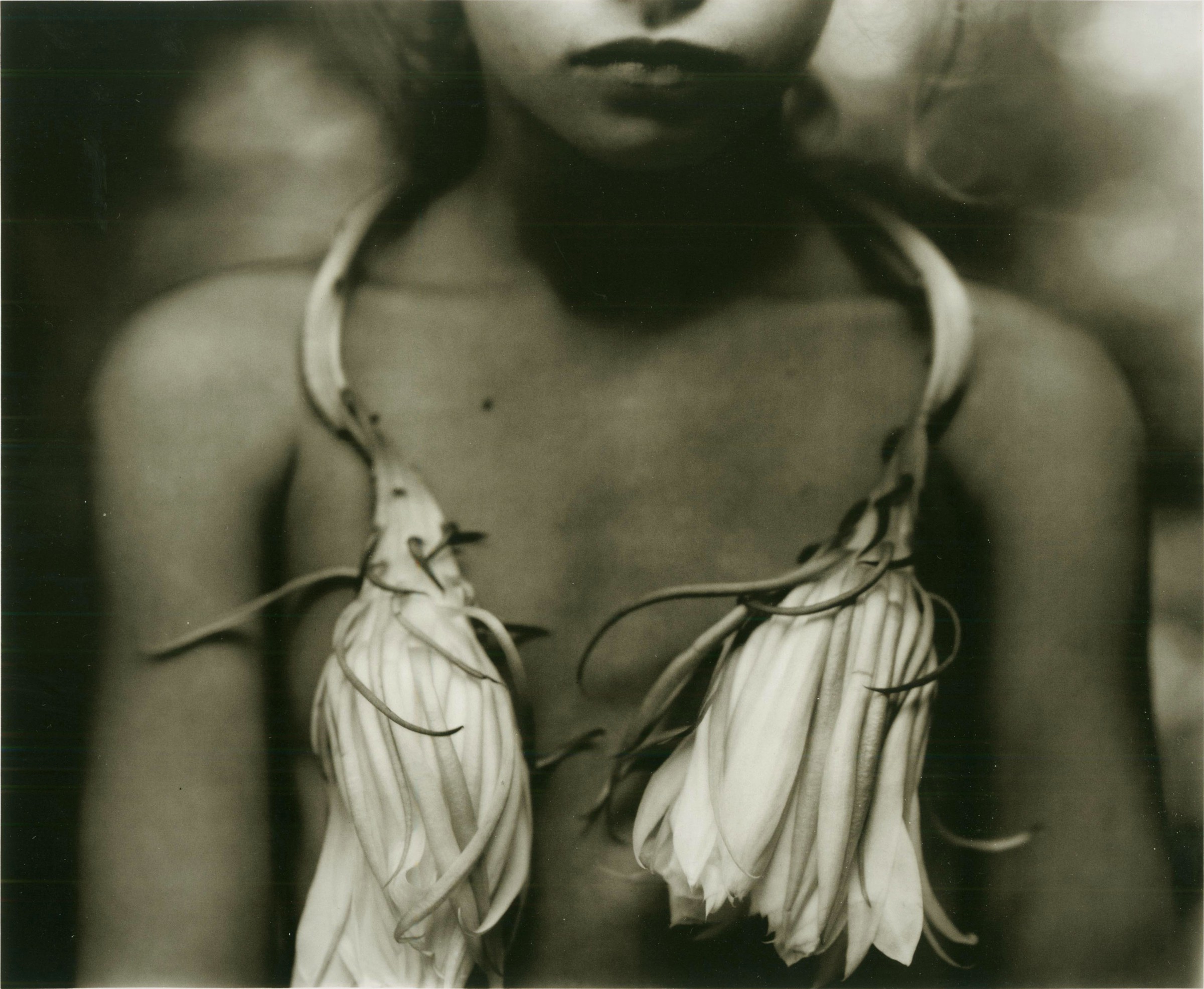 Sally Mann Gagosian Quarterly