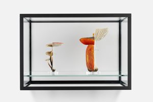 <p data-block-key="dgo19"><i>Double Mushroom Vitrine (Twice)</i>, 2021</p>