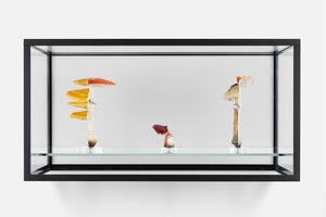 <p data-block-key="uynmn"><i>Double Mushroom Vitrine (Threefold)</i>, 2021</p>
