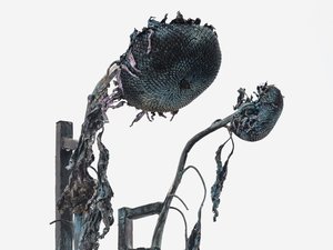 Detail of a patinated bronze sculpture of two withering giant sunflowers attached to a metal structure